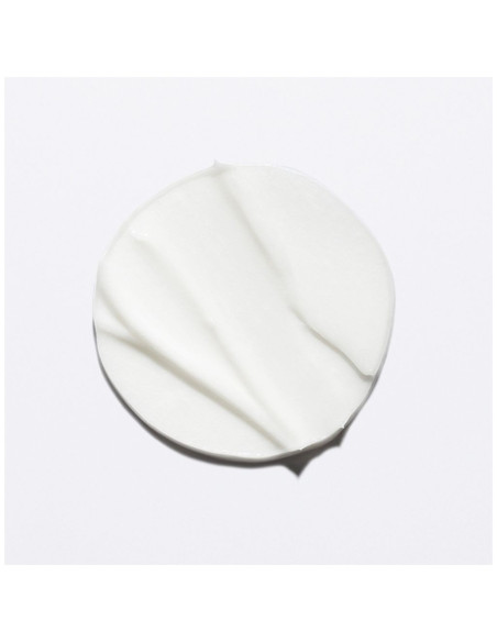 Masque Chronologiste Intense Régénérant 200ML