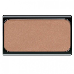 FARD A JOUES - BLUSH - RECHARGE 02