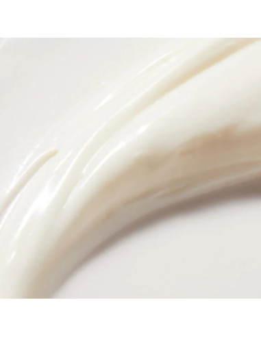 Crème Mains Riche CICA "Rêve de Miel" 50ml