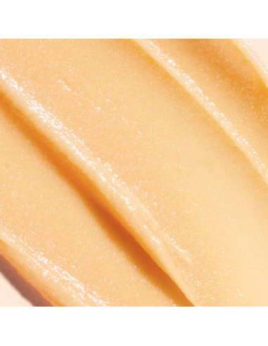 Baume à Lèvre "Rêve de miel" 15g