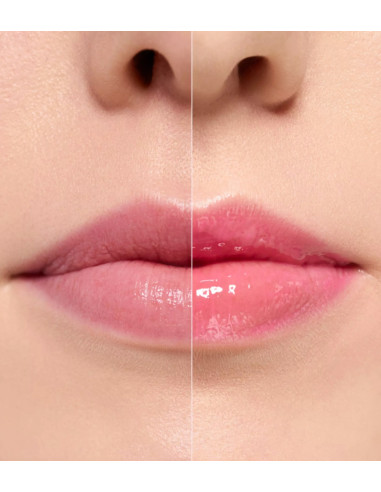 Plumping Lip Gloss " What The Fake ! " N°102