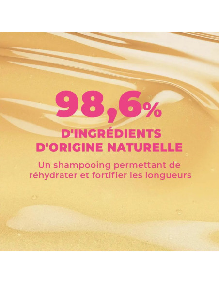 Shampoing Perfect Clean Les Secrets de Loly 250ml – Sans Sulfates | Beautystore.tn