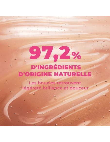 Shampoing Perfect Match les secrets de Loly 250ml | Beautystore.tn